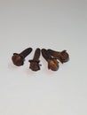 Cloves or Syzygium aromaticum